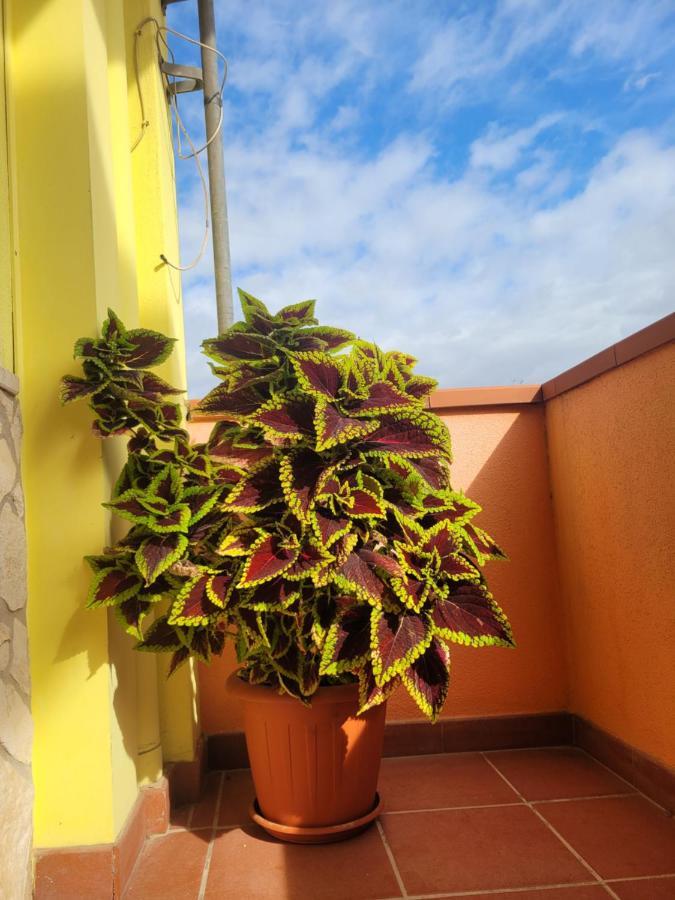 Butterflyhouse Villa Monserrato Exterior photo